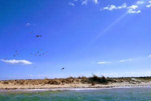 4 hour Classic Boat Cruise, Ria Formosa Natural Park, Olhão.