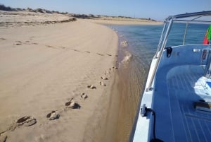 4 Stunden klassische Bootsfahrt, Ria Formosa Naturpark, Olhão.