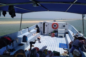 6 Hour Classic Boat Cruise, Ria Formosa Natural Park, Olhão.