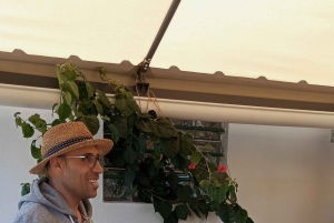 AFTERNOON JEEP SAFARI & SUNSET