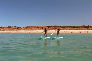 Albufeira: 1 Stunde Stand-Up Paddleboard Erfahrung