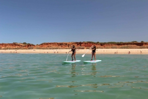 Albufeira: 1 Hour Stand-Up Paddleboard Experience