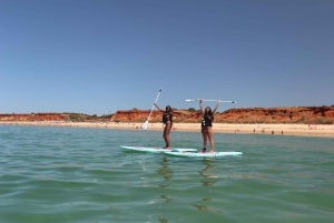 Albufeira: 1 Stunde Stand-Up Paddleboard Erfahrung