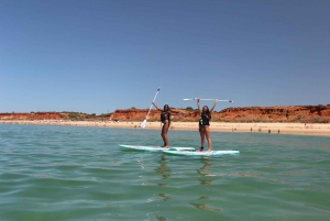 Albufeira: 1 Hour Stand-Up Paddleboard Experience