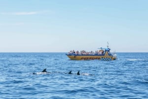 Albufeira: Cuevas de Benagil y avistamiento de delfines en 2,5 horas