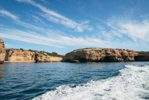 Albufeira: 2,5 timmar Benagils grottor och delfinskådning