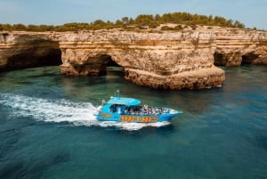 Albufeira: 2.5-Hour Dolphin Watching and Caves Trip