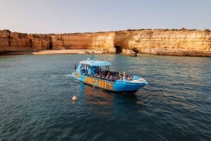 Albufeira: 2,5 uur dolfijnen kijken en grotten bezoeken