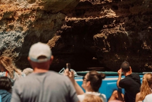 Албуфейра: 2,5-часовое наблюдение за дельфинами и поездка в пещеры