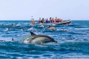 Albufeira : visite privée de 2,5 heures des dauphins et des grottes de Benagil
