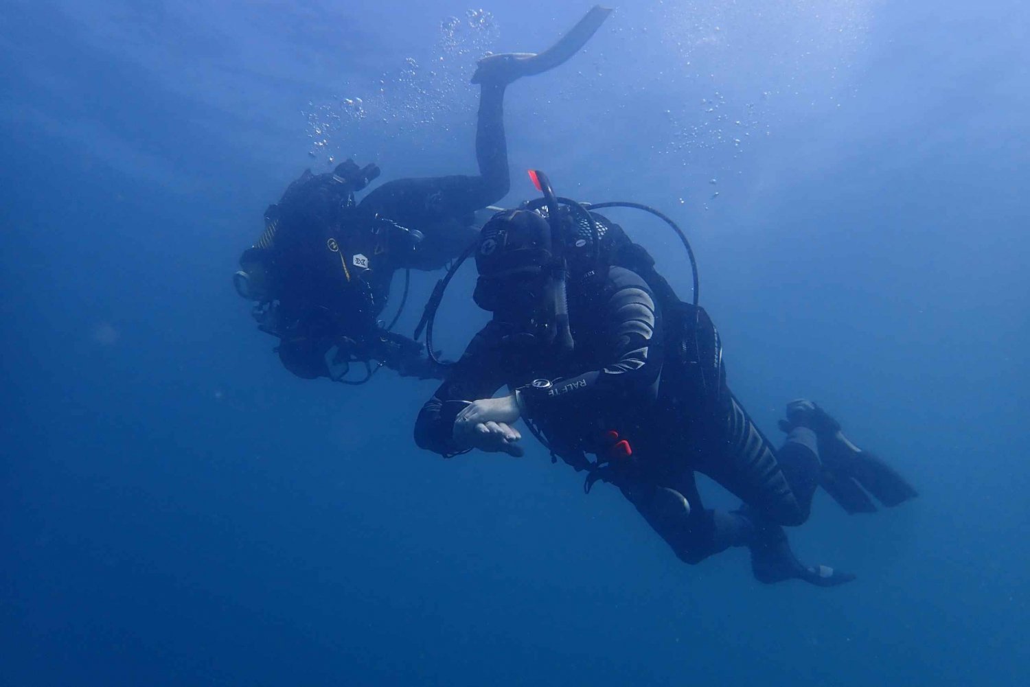 Albufeira: 2 DIVES TRIP (ONLY CERTIFIED DIVERS)