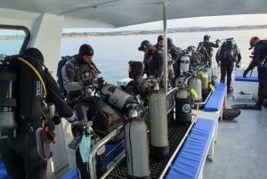 Albufeira: 2 DIVES TRIP (ONLY CERTIFIED DIVERS)