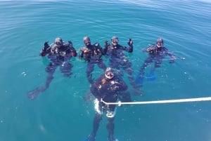 Albufeira: 2 DIVES TRIP (ONLY CERTIFIED DIVERS)