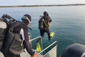 Albufeira: 2 DIVES TRIP (ONLY CERTIFIED DIVERS)