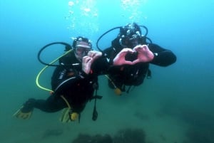 Albufeira: 2 DIVES TRIP (ONLY CERTIFIED DIVERS)