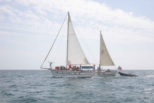Albufeira: 6-timers båttur med grilling og drikke