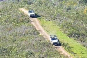 Albufeira : 6 heures de Jeep avec déjeuner