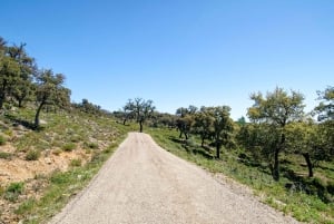 Albufeira: 6 Hour Jeep Tour with Lunch