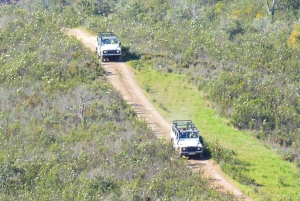 Albufeira: 6 Hour Jeep Tour with Lunch