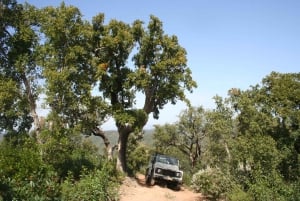 Albufeira: 6 Hour Jeep Tour with Lunch