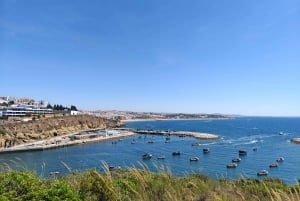 Albufeira: Albufeira Marina & west coast Tour 1.5h