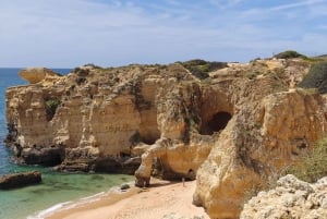 Albufeira: Albufeira Marina & west coast Tour 1.5h