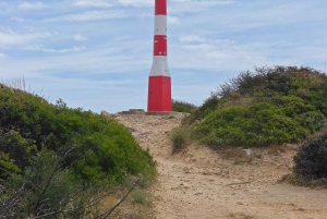 Albufeira: Albufeira Marina & west coast Tour 1.5h