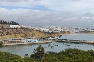 Albufeira: Albufeira Marina & west coast Tour 1.5h