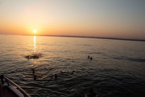 Albufeira: Algarven 3-tunnin Benagilin auringonlasku- ja rannikkoretki