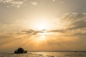 Albufeira: Algarven 3-tunnin Benagilin auringonlasku- ja rannikkoretki