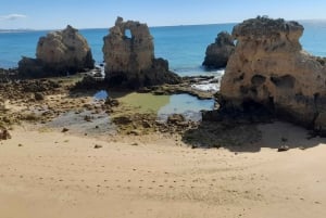 Albufeira: Algarve Cliffs and The Chapel of Bones Tour
