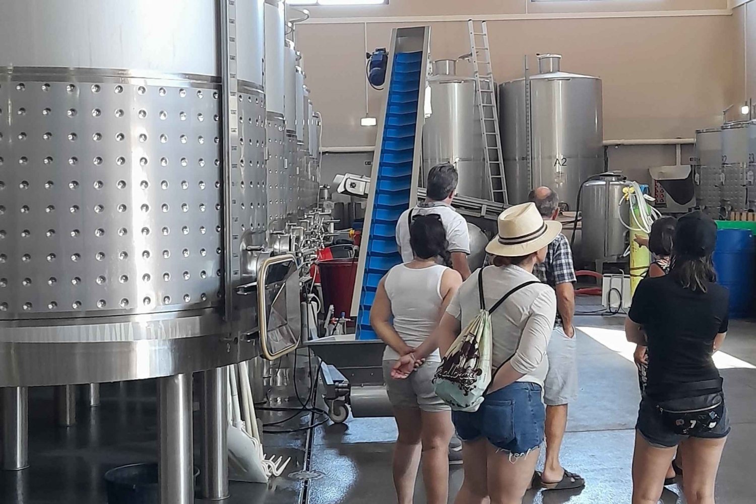 Albufeira: tour guidato della costa dell'Algarve con degustazione di vini