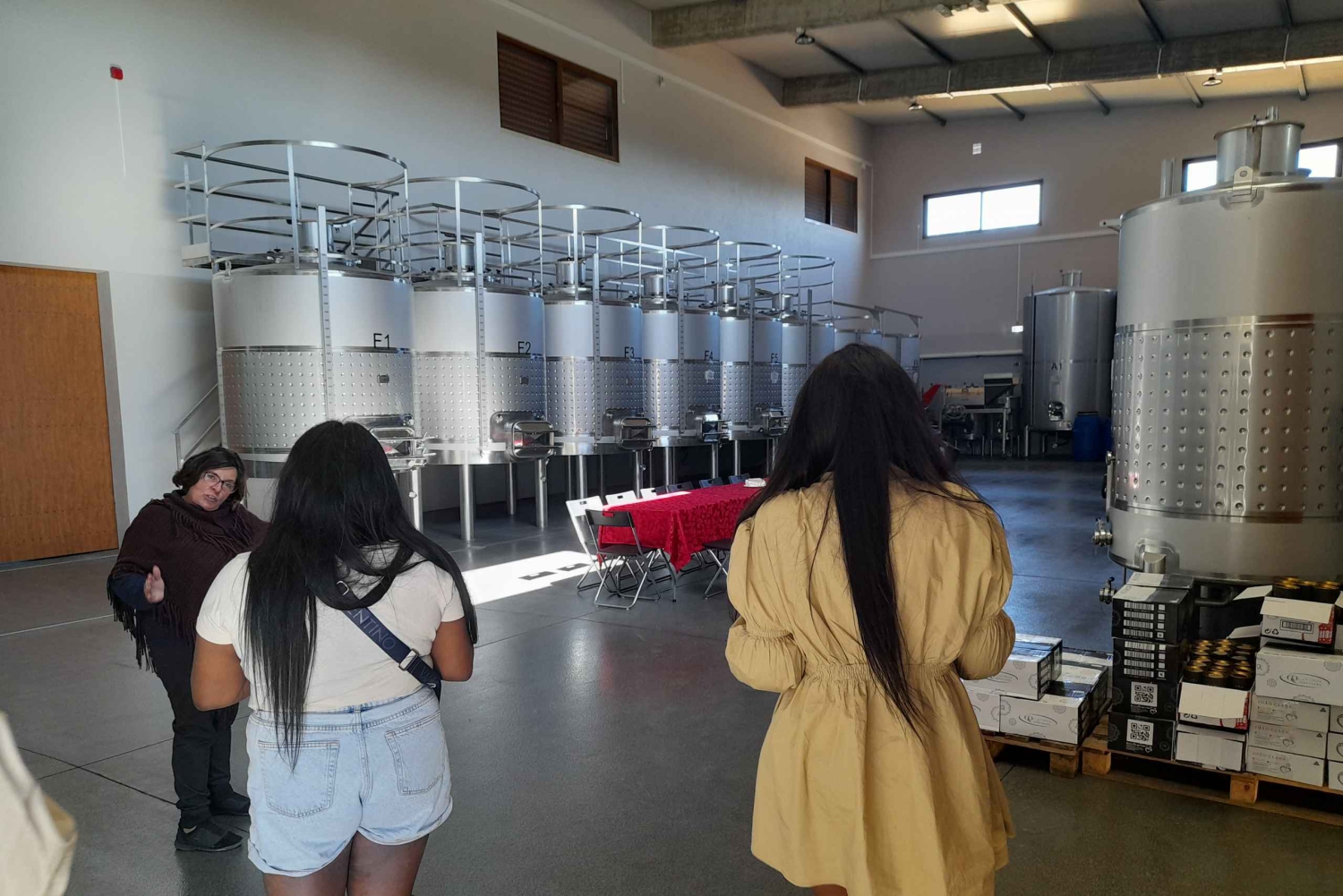 Albufeira: Visita Guiada à Costa do Algarve com Prova de Vinhos