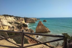 Albufeira: Algarve Coast Guided Tour with Wine Tasting