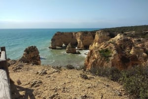 Albufeira: Algarve Coast Guided Tour with Wine Tasting