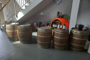 Albufeira: Visita Guiada à Costa do Algarve com Prova de Vinhos