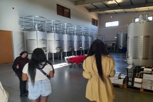 Albufeira: Visita Guiada à Costa do Algarve com Prova de Vinhos