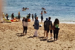 Albufeira: Visita Guiada à Costa do Algarve com Prova de Vinhos