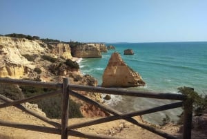Albufeira: Visita Guiada à Costa do Algarve com Prova de Vinhos