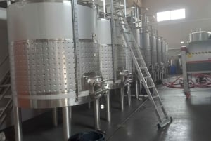 Albufeira: Visita Guiada à Costa do Algarve com Prova de Vinhos