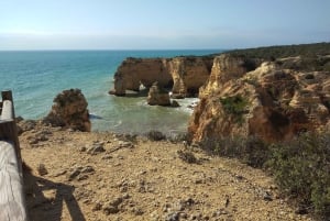 Albufeira: Visita Guiada à Costa do Algarve com Prova de Vinhos
