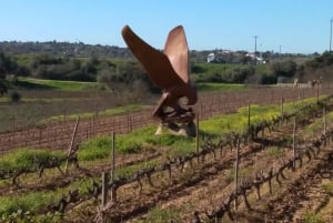 Albufeira: Visita Guiada à Costa do Algarve com Prova de Vinhos