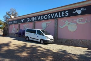 Albufeira: Visita Guiada à Costa do Algarve com Prova de Vinhos