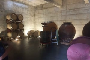 Albufeira: Visita Guiada à Costa do Algarve com Prova de Vinhos