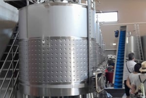 Albufeira: Visita Guiada à Costa do Algarve com Prova de Vinhos