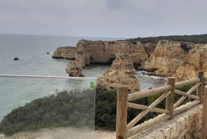 Albufeira: Visita Guiada à Costa do Algarve com Prova de Vinhos