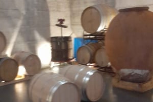 Albufeira: Visita Guiada à Costa do Algarve com Prova de Vinhos