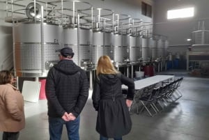 Albufeira: Visita Guiada à Costa do Algarve com Prova de Vinhos