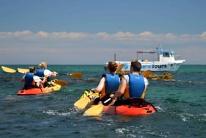 Albufeira: Algarve Kayak and Coastline Tour