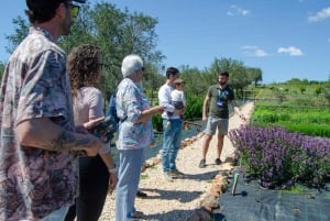 Albufeira: tradiciones del Algarve y degustación gastronómica